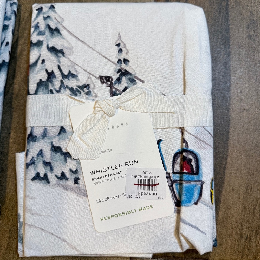 Whistler Run Euro Sham - Pottery Barn - Picture 3 of 6